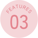 FEATURES03